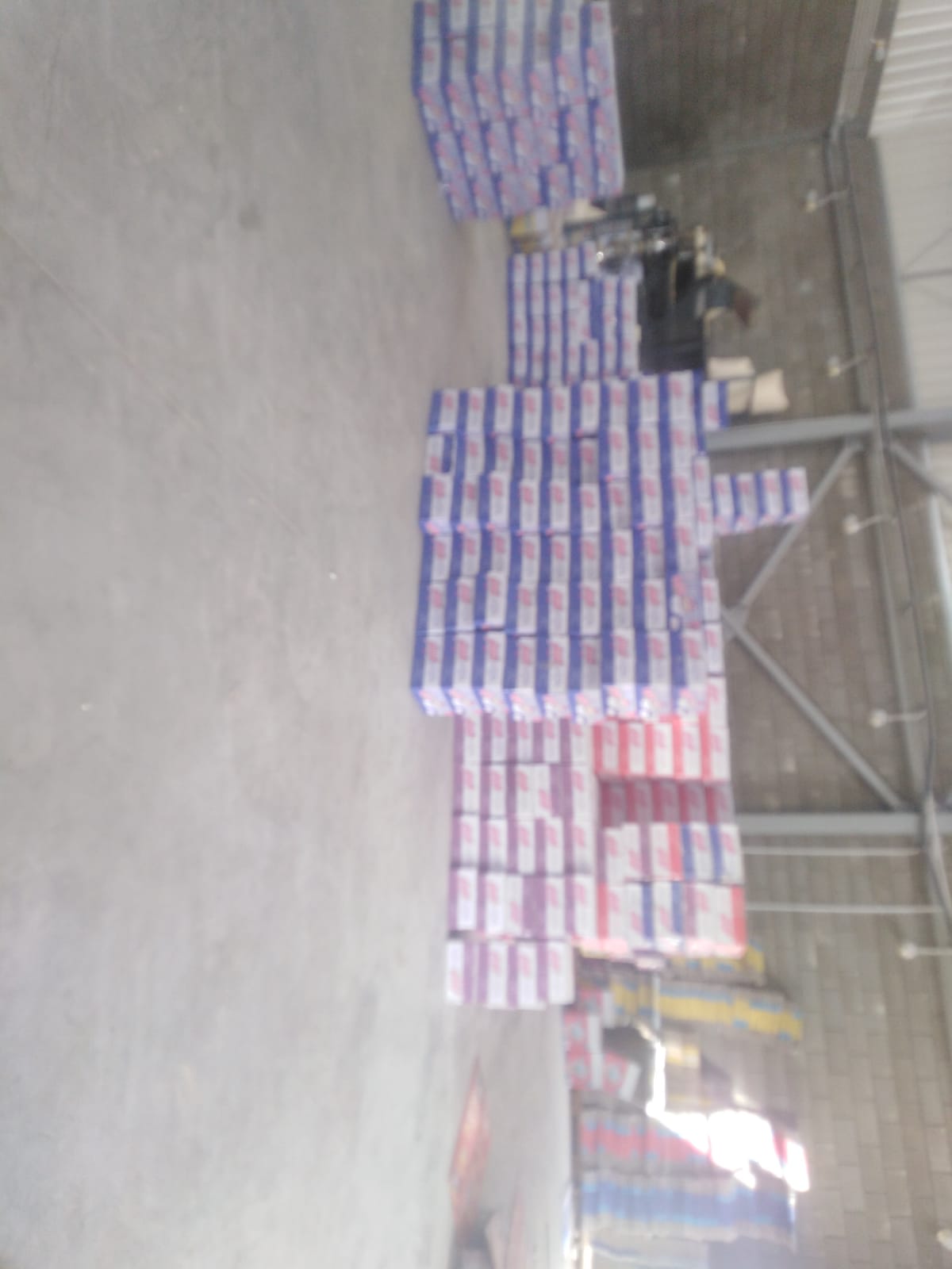 IMG-20220318-WA0024