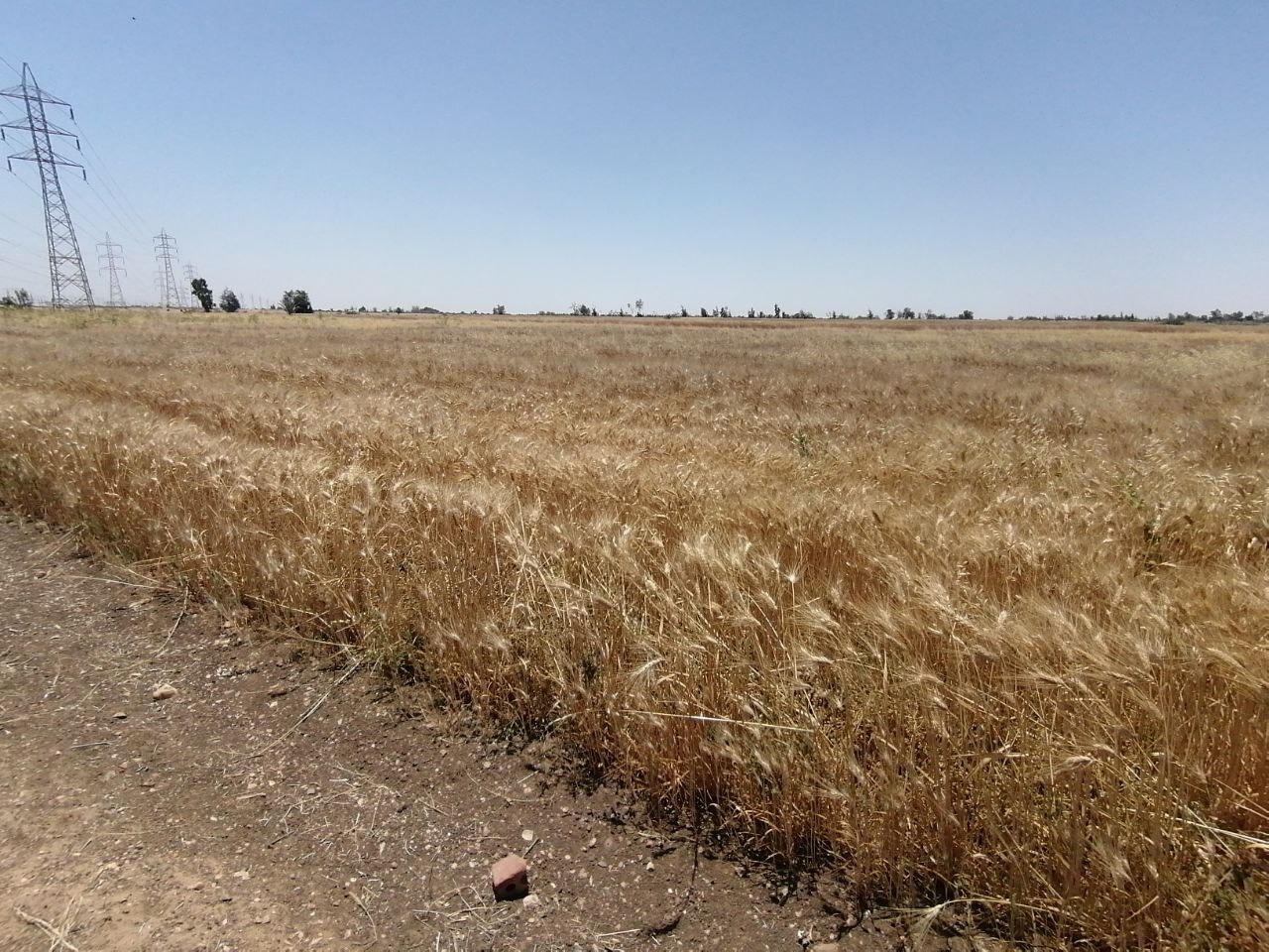 IMG-20220510-WA0045