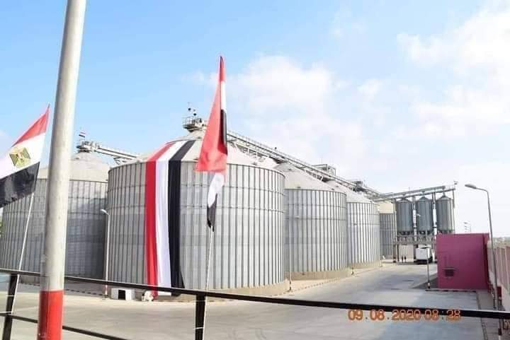 محصول القمح