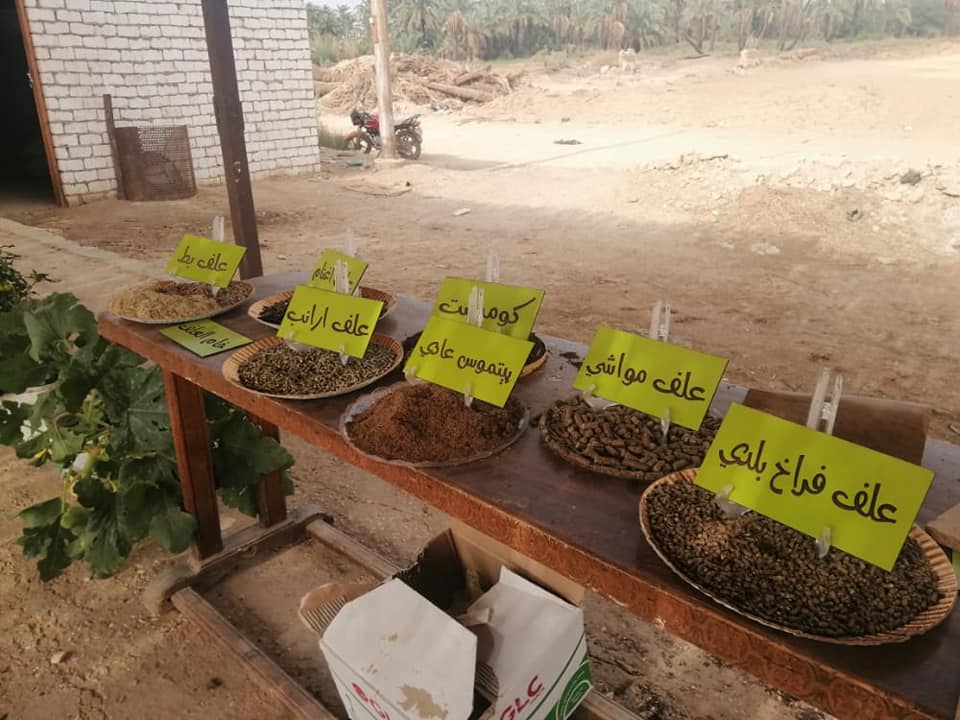 إنشاء مصنع متكامل لتدوير المخلفات الزراعية في الوادي الجديد (4)