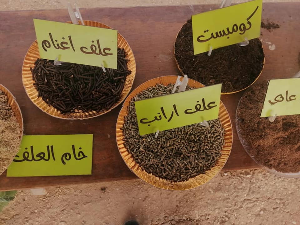 إنشاء مصنع متكامل لتدوير المخلفات الزراعية في الوادي الجديد (6)