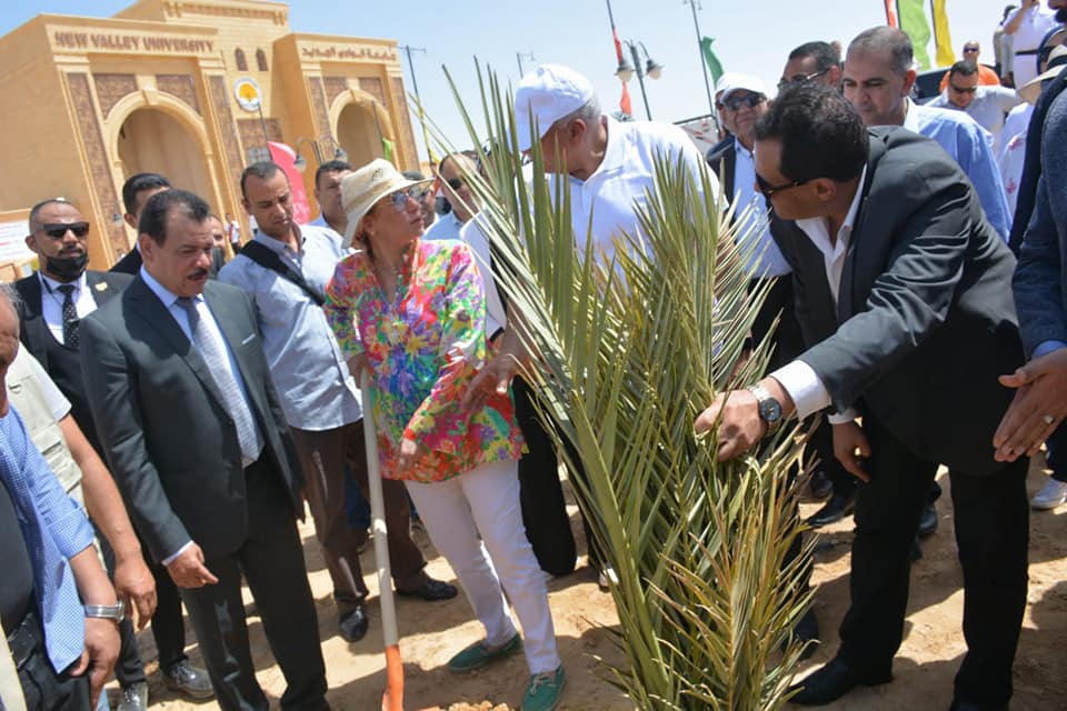 وزيرة البيئة ومحافظ الوادي الجديد يطلقان مبادرة زراعة ١٠٠٠ شجرة مثمرة (4)