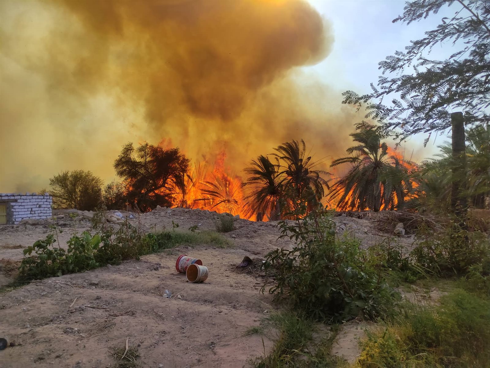 جانب من الحريق بقرية الراشدة (2)