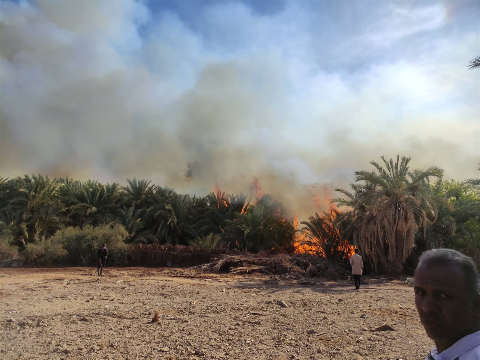 جانب من الحريق بقرية الراشدة (8)