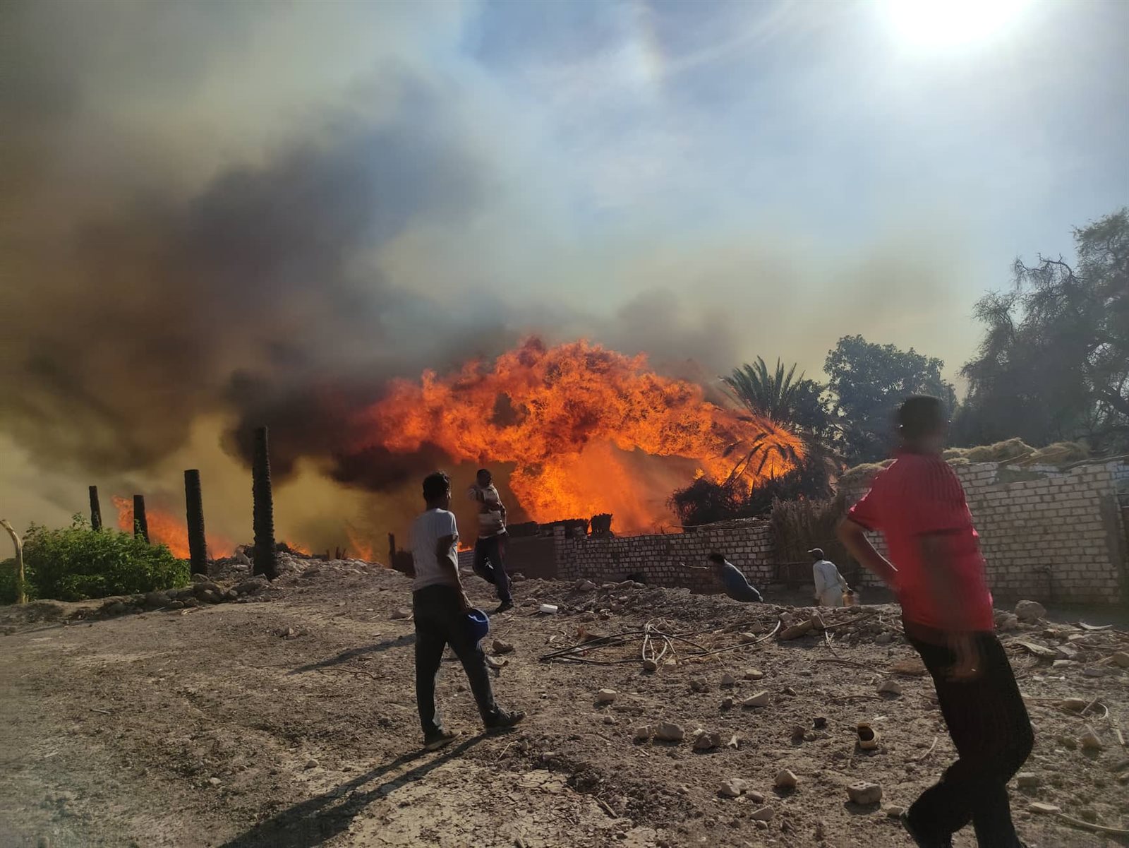 جانب من الحريق بقرية الراشدة (10)