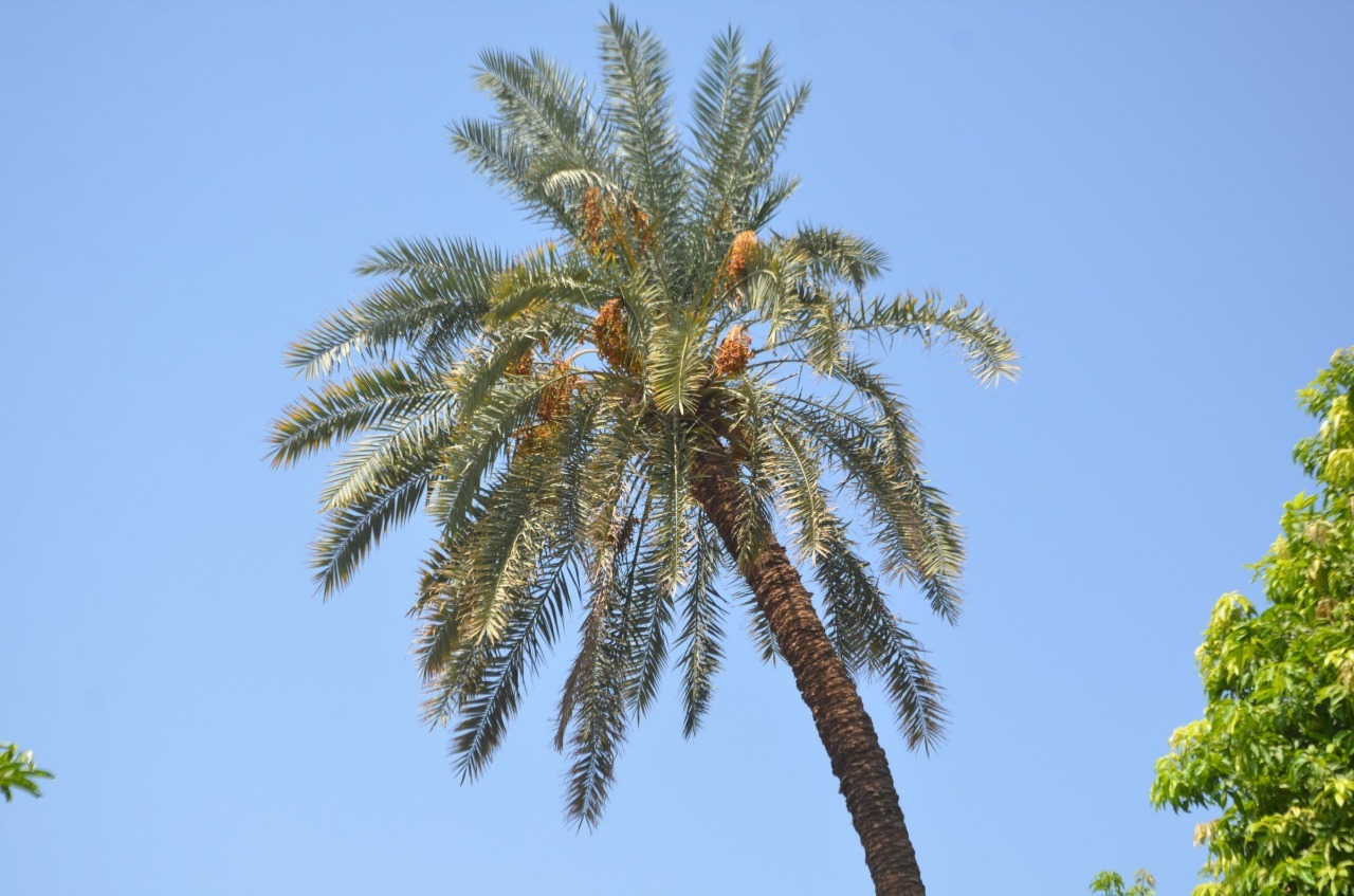 IMG-20220826-WA0037