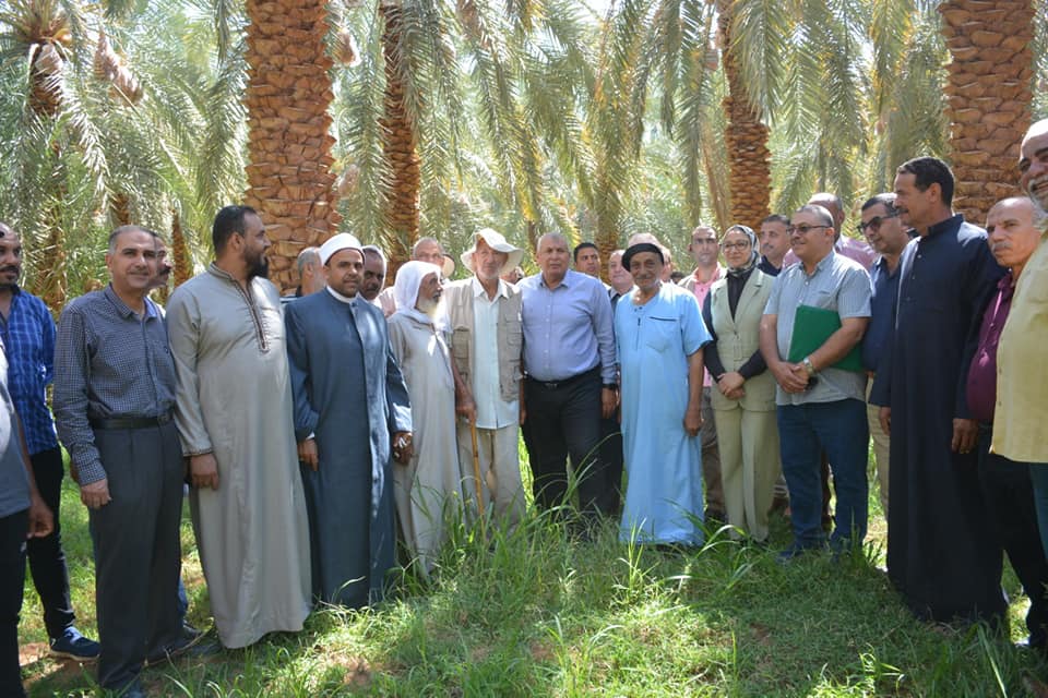 محافظ الوادي الجديد يفتتح موسم حصاد التمور ويُطلق المبادرة المجتمعية اتقوا النار ولو بشقّ تمرة (7)