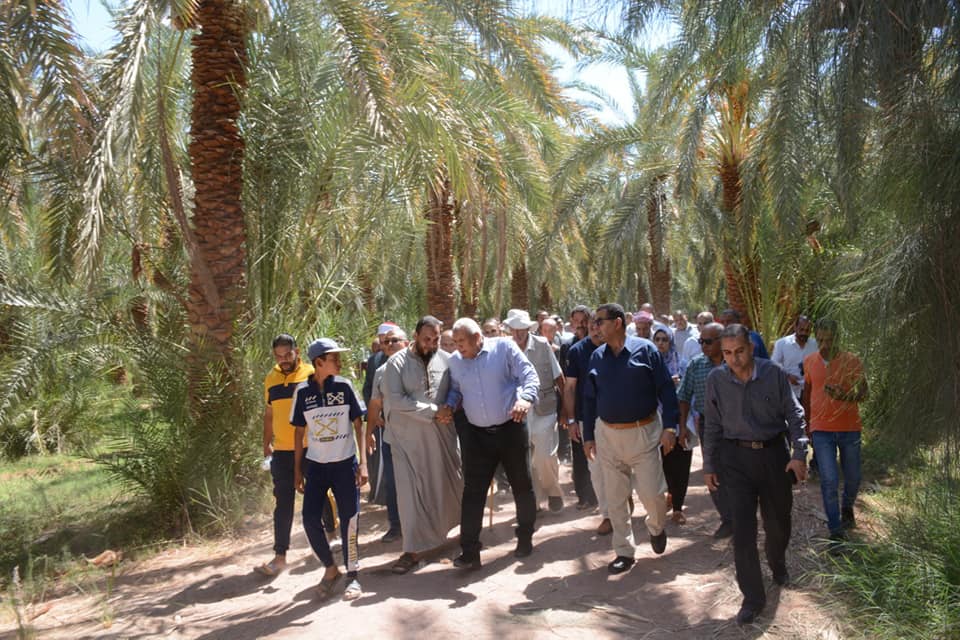 محافظ الوادي الجديد يفتتح موسم حصاد التمور ويُطلق المبادرة المجتمعية اتقوا النار ولو بشقّ تمرة (12)