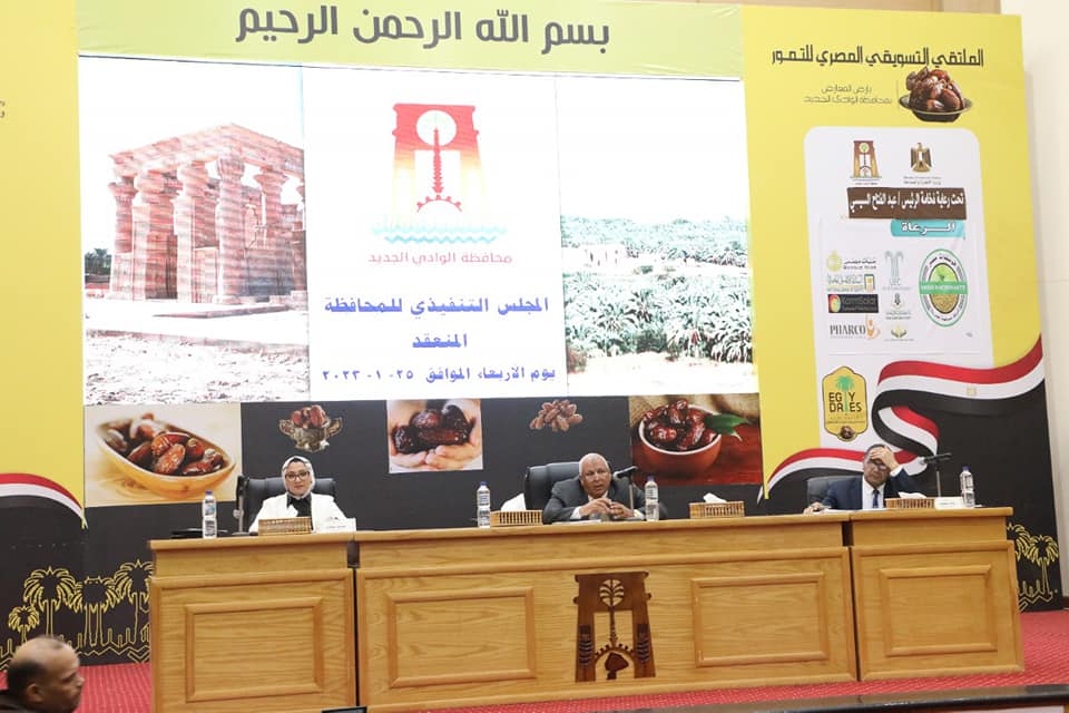 المجلس التنفيذي للوادي الجديد (1)