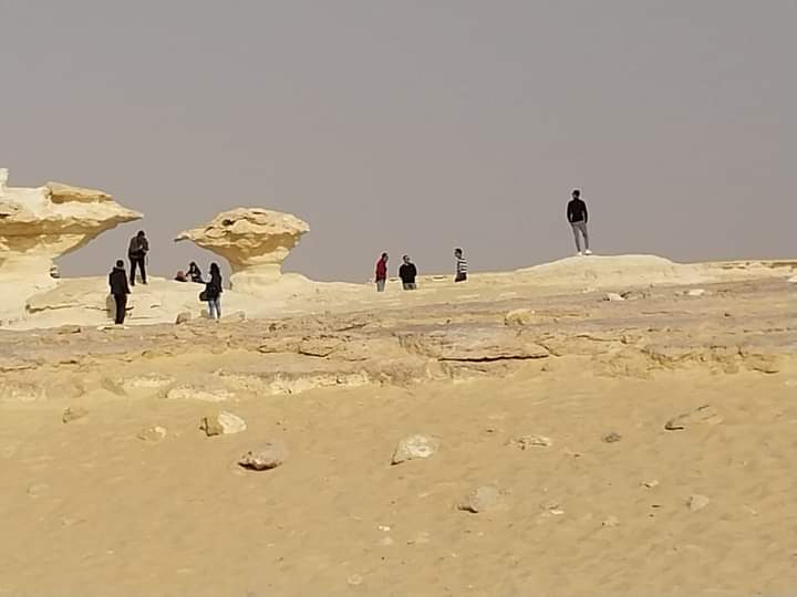 الصحراء البيضاء تستقبل أفواج اعرف بلدك في الوادي الجديد (5)