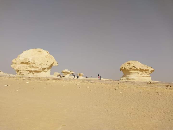 الصحراء البيضاء تستقبل أفواج اعرف بلدك في الوادي الجديد (6)