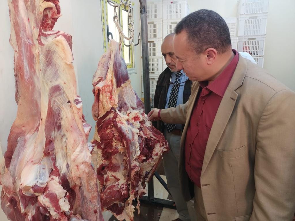 السمك البلطي بـ17.5 جنيه واللحوم البلدية بـ150 جنيه في الوادي الجديد (3)