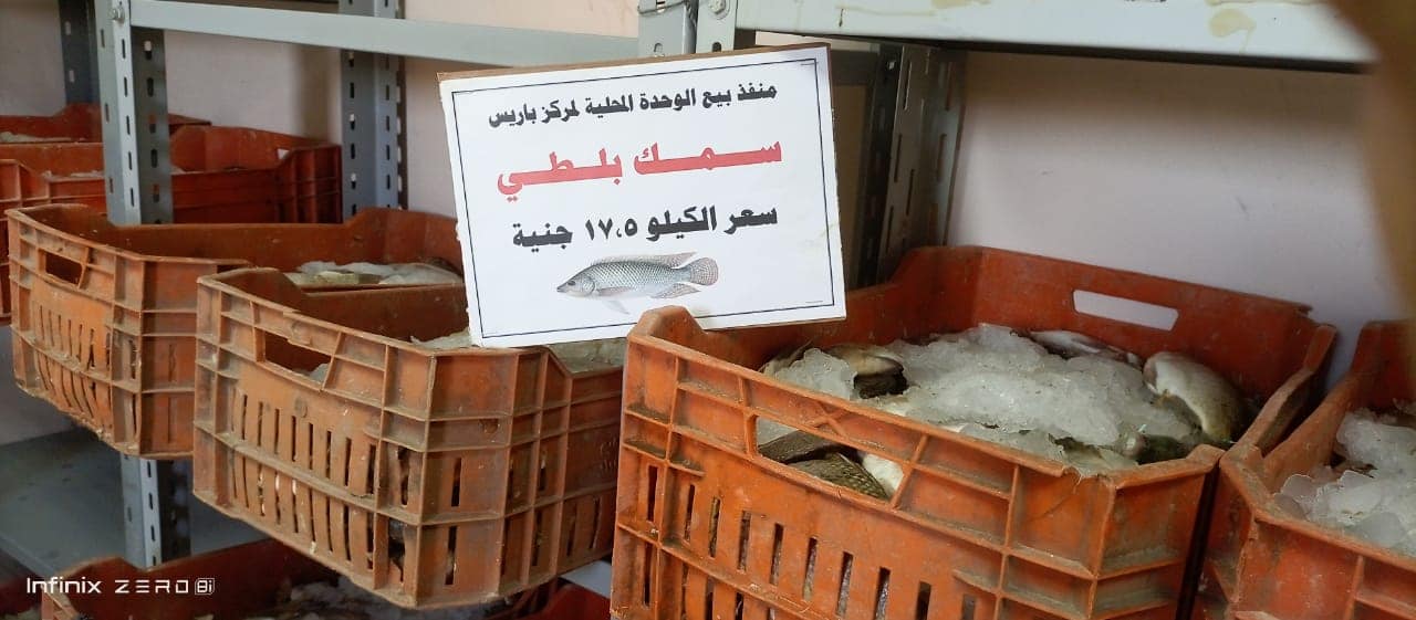السمك البلطي بـ17.5 جنيه واللحوم البلدية بـ150 جنيه في الوادي الجديد (5)