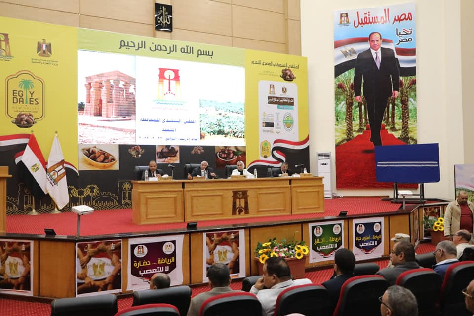 المجلس التنفيذي لمحافظة الوادي الجديد (3)