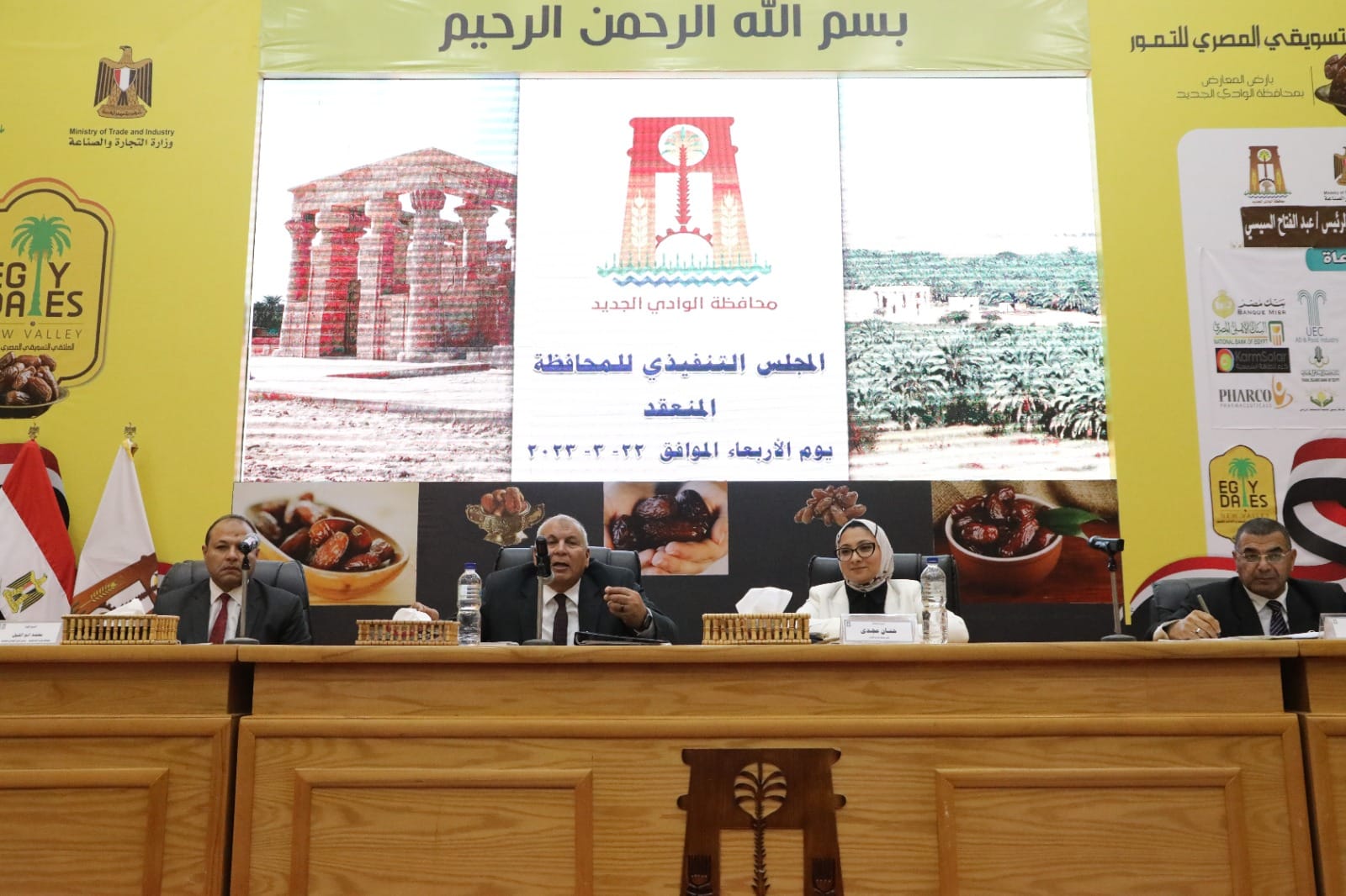المجلس التنفيذي لمحافظة الوادي الجديد (4)