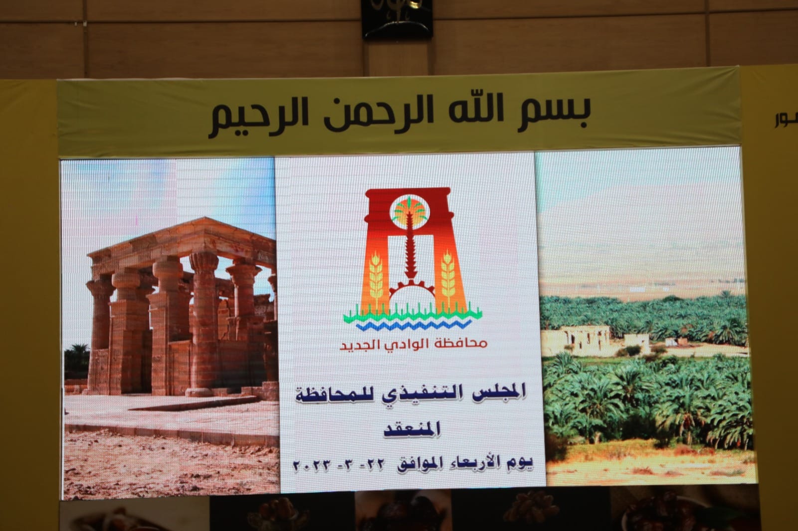 المجلس التنفيذي لمحافظة الوادي الجديد (5)