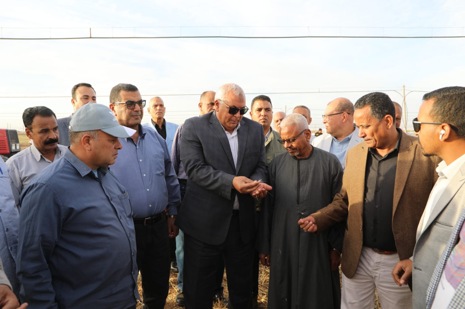 محافظ الوادي الجديد يدشن حصاد القمح (8)