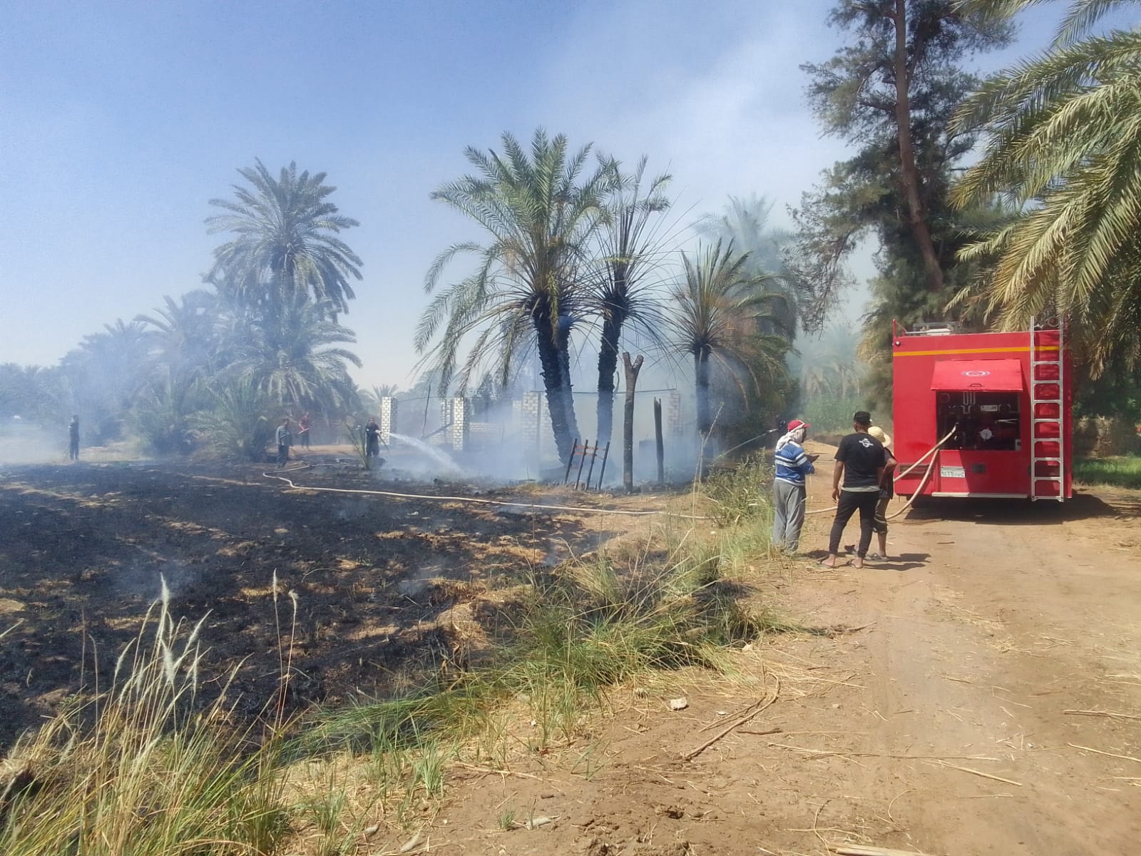 السيطرة على حريق محدود جنوب مركز الخارجة بالوادي الجديد (6)