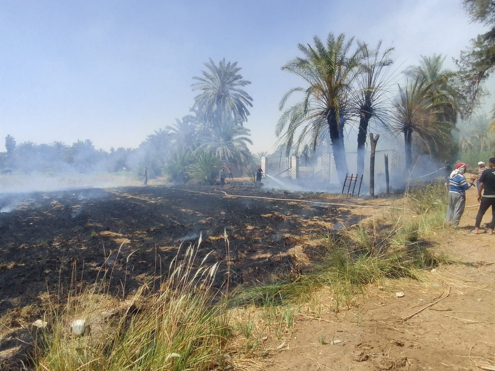 السيطرة على حريق محدود جنوب مركز الخارجة بالوادي الجديد (7)