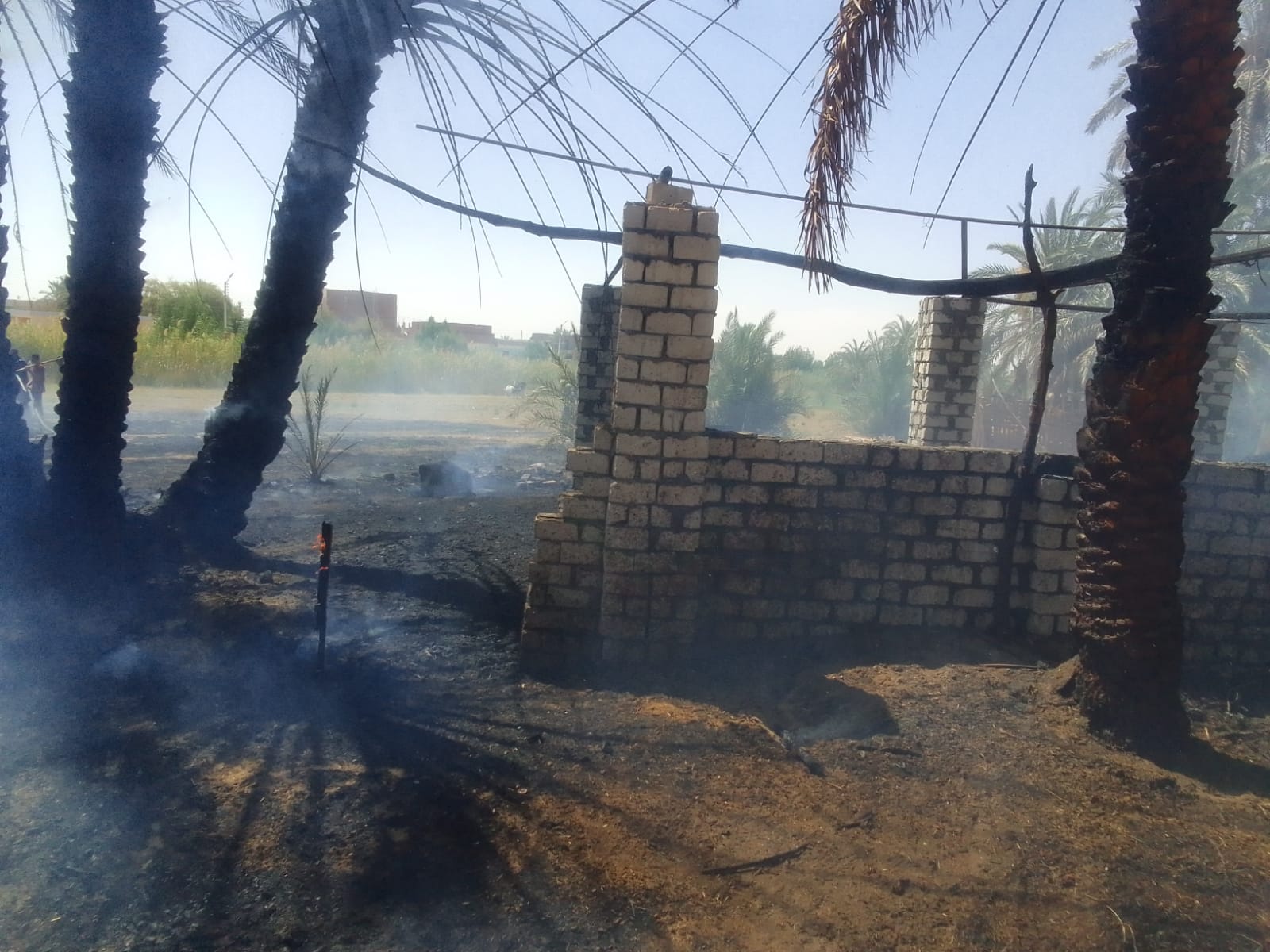 السيطرة على حريق محدود جنوب مركز الخارجة بالوادي الجديد (9)