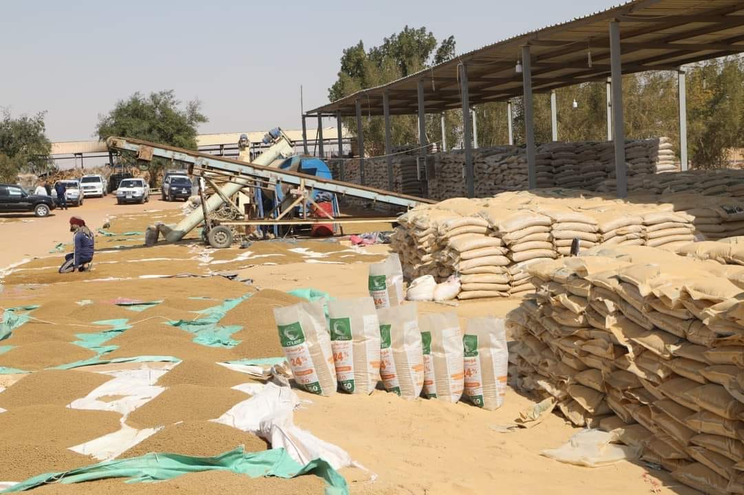 اعتماد مصنع تدوير المخلفات الزراعية بالوادي الجديد (1)