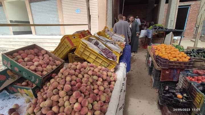 اللحمة البلدي بـ250 جنيه..وخضر وفاكهة مخفضة بمنافذ الوادي الجديد (2)