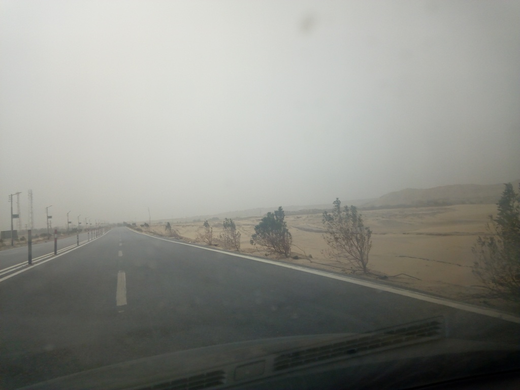عواصف ترابية وطقس سيء بالوادي الجديد (2)