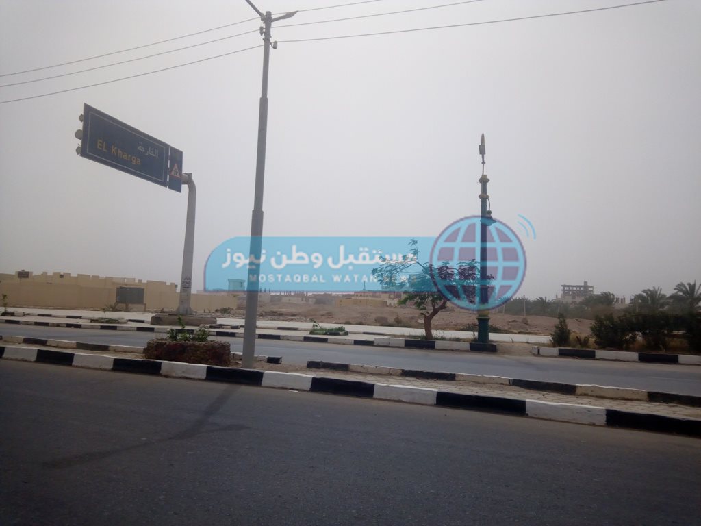 طقس سيء في الوادي الجديد (2)