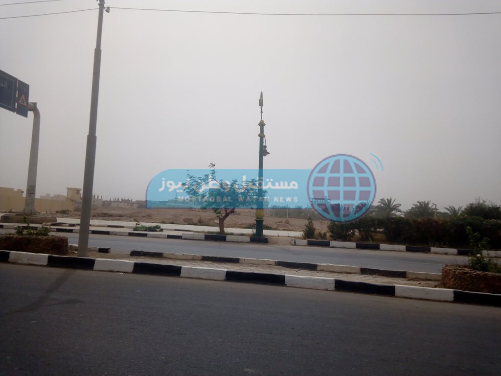 طقس سيء في الوادي الجديد (3)