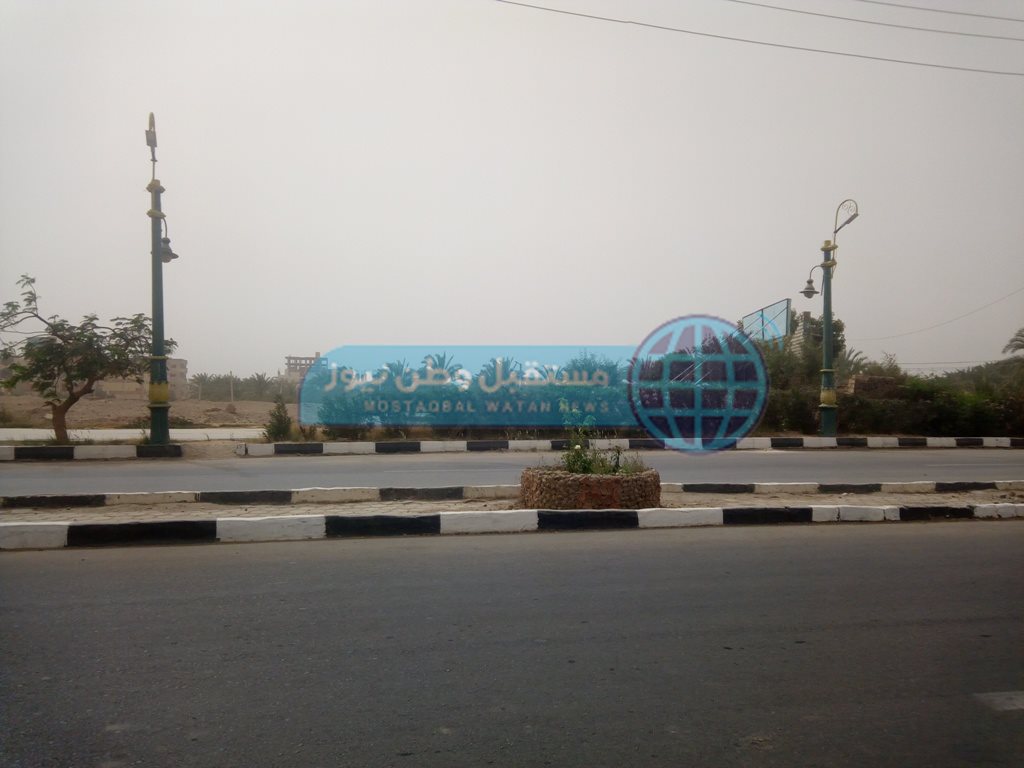 طقس سيء في الوادي الجديد (4)