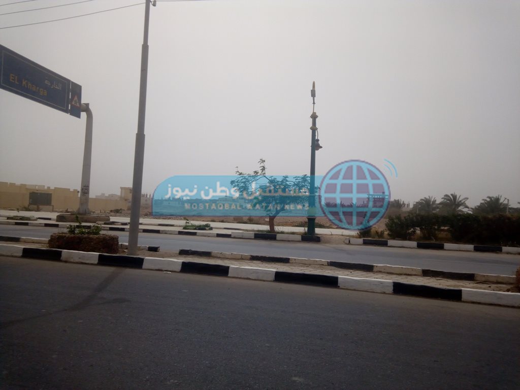 طقس سيء في الوادي الجديد (8)