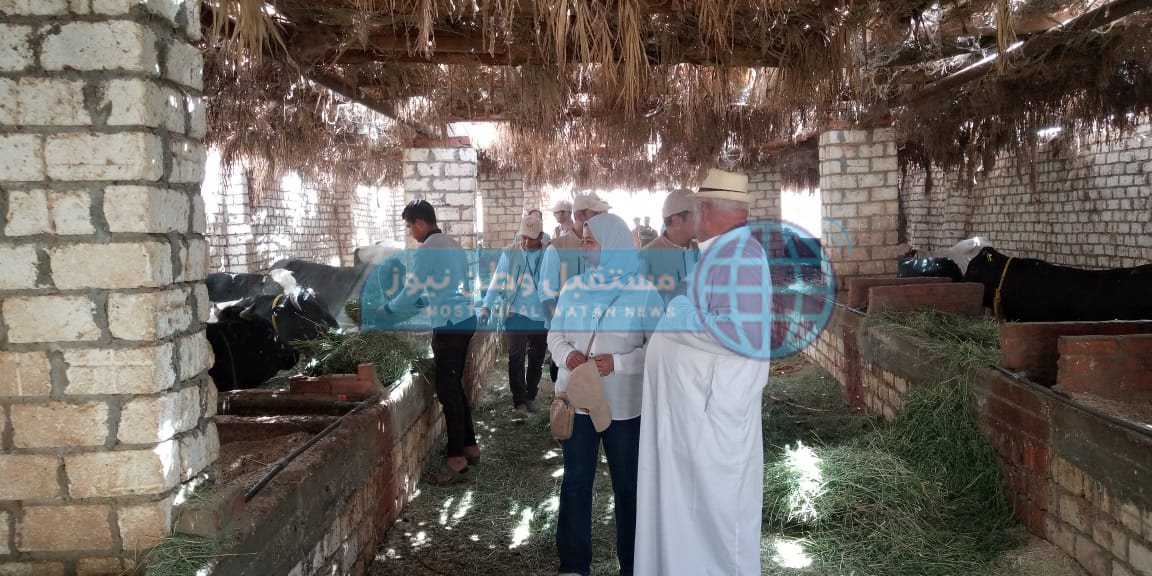 مبادرة فرح أسرة قبل العيد (1)