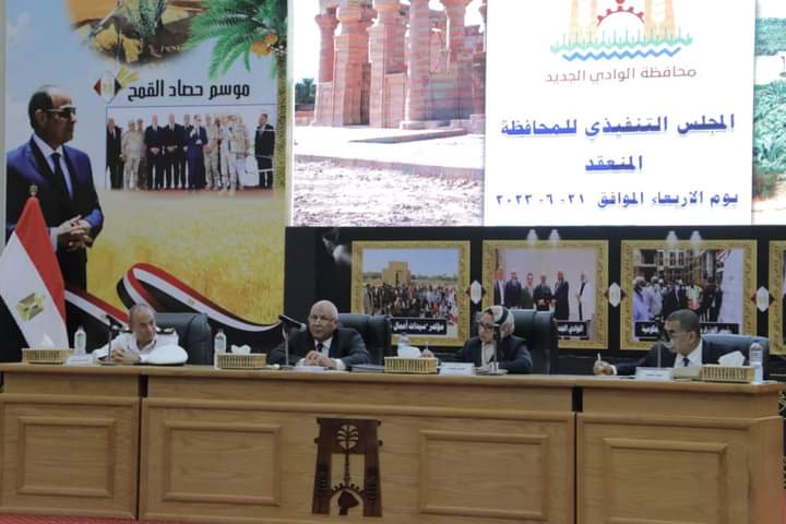 المجلس التنفيذي للوادي الجديد (2)