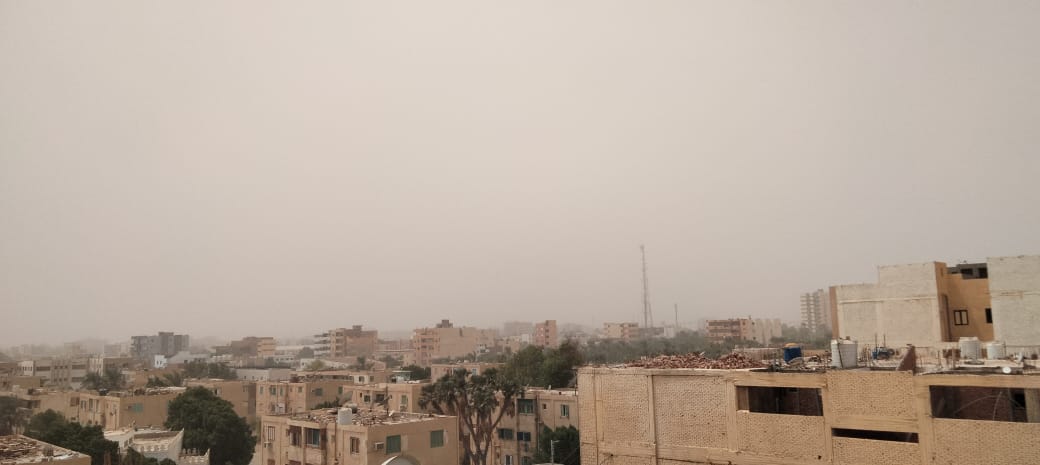 استمرار موجة الطقس السيئ لليوم الثاني في الوادي الجديد (1)