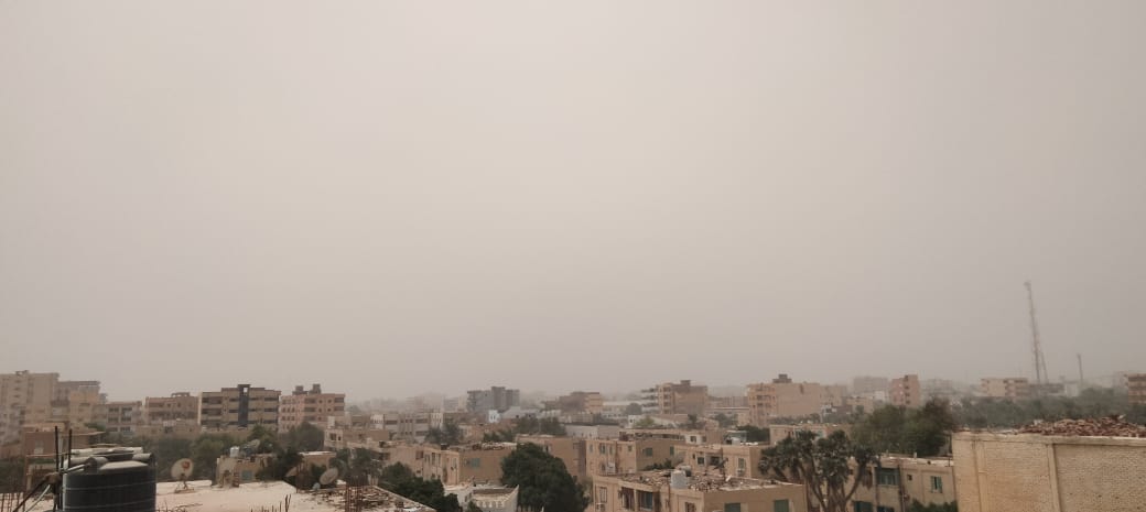 استمرار موجة الطقس السيئ لليوم الثاني في الوادي الجديد (5)