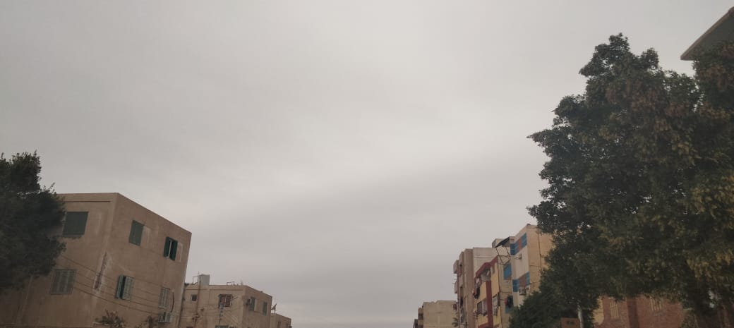 أمطار خفيفة على الوادي الجديد