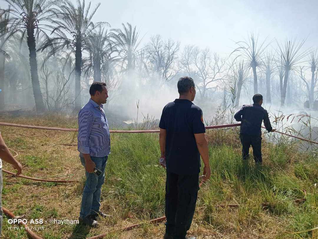 السيطرة على حريق بزراعات نخيل في الوادي الجديد