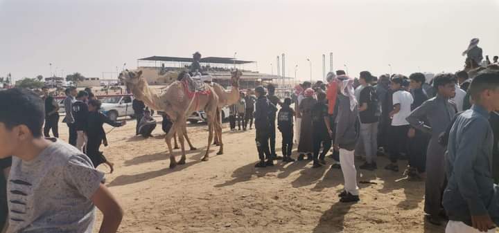 جانب من مهرجان