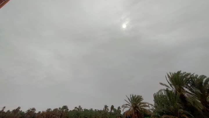 عواصف ترابية ورياح بالوادي الجديد