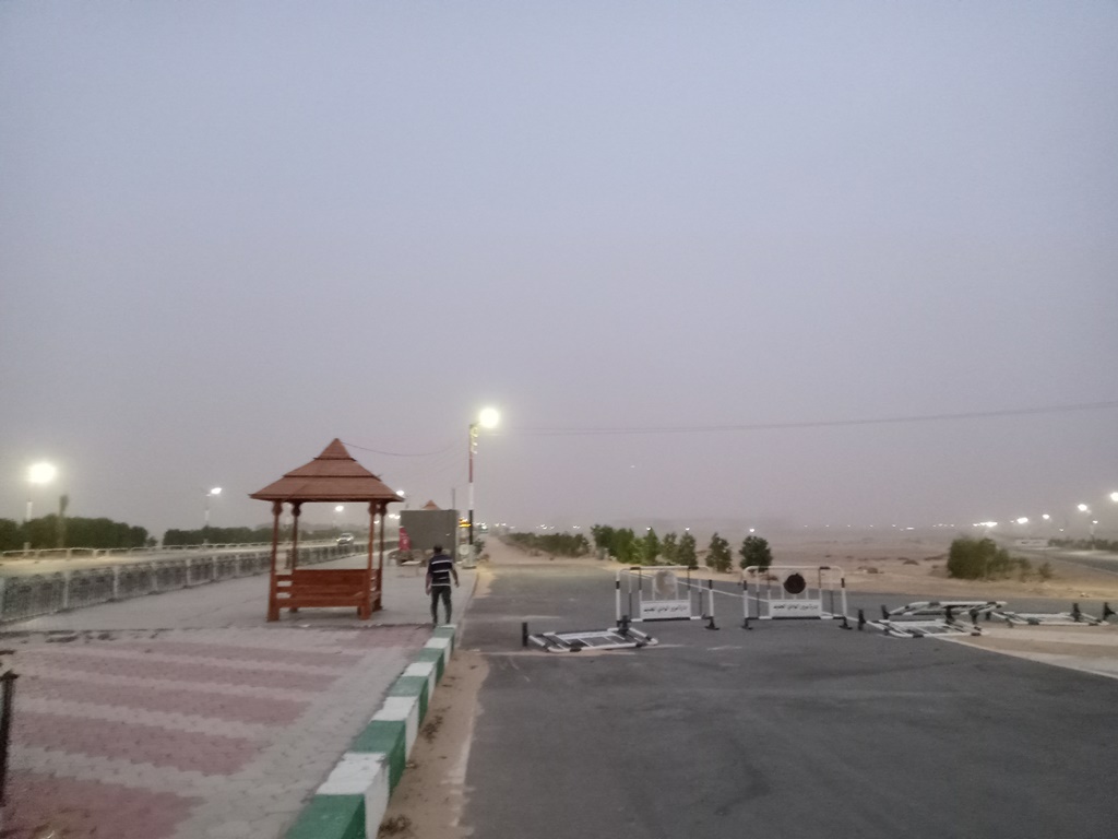 عواصف ترابية بالوادي الجديد (26)