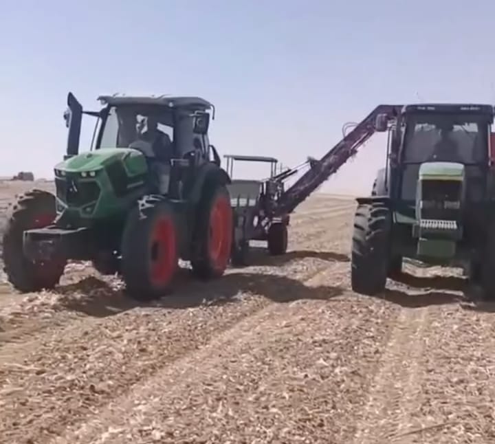 حصاد 14280 فدان بصل ببمراكز الوادي