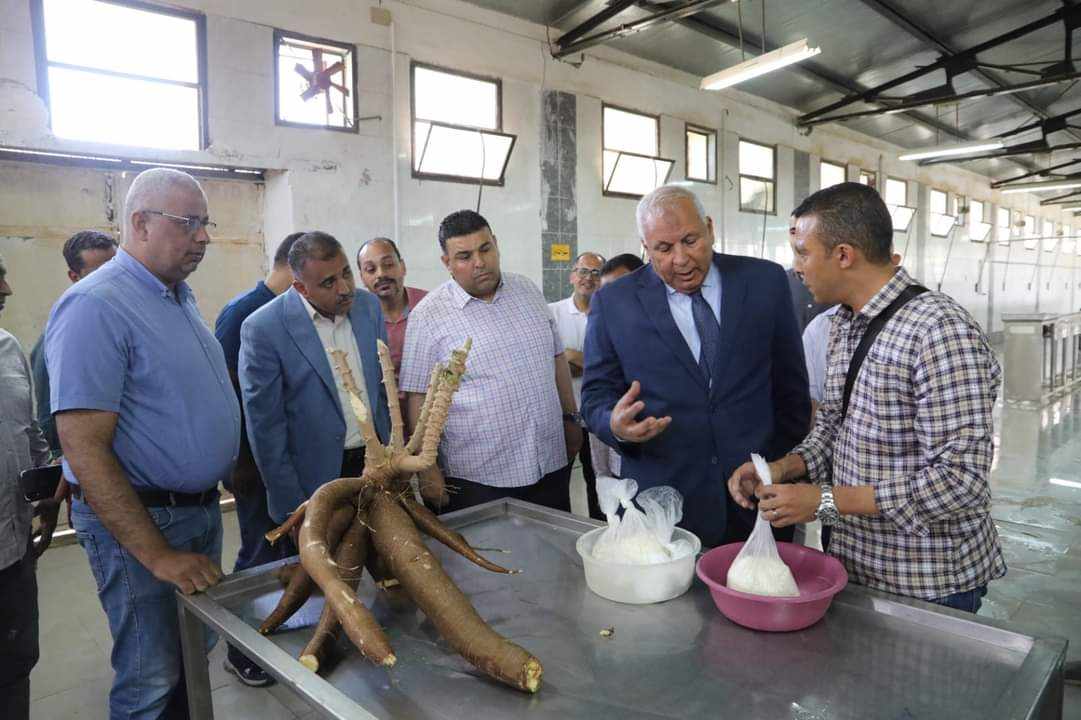 محافظ الوادي يتفقد تجربة نبات الكسافا (2)