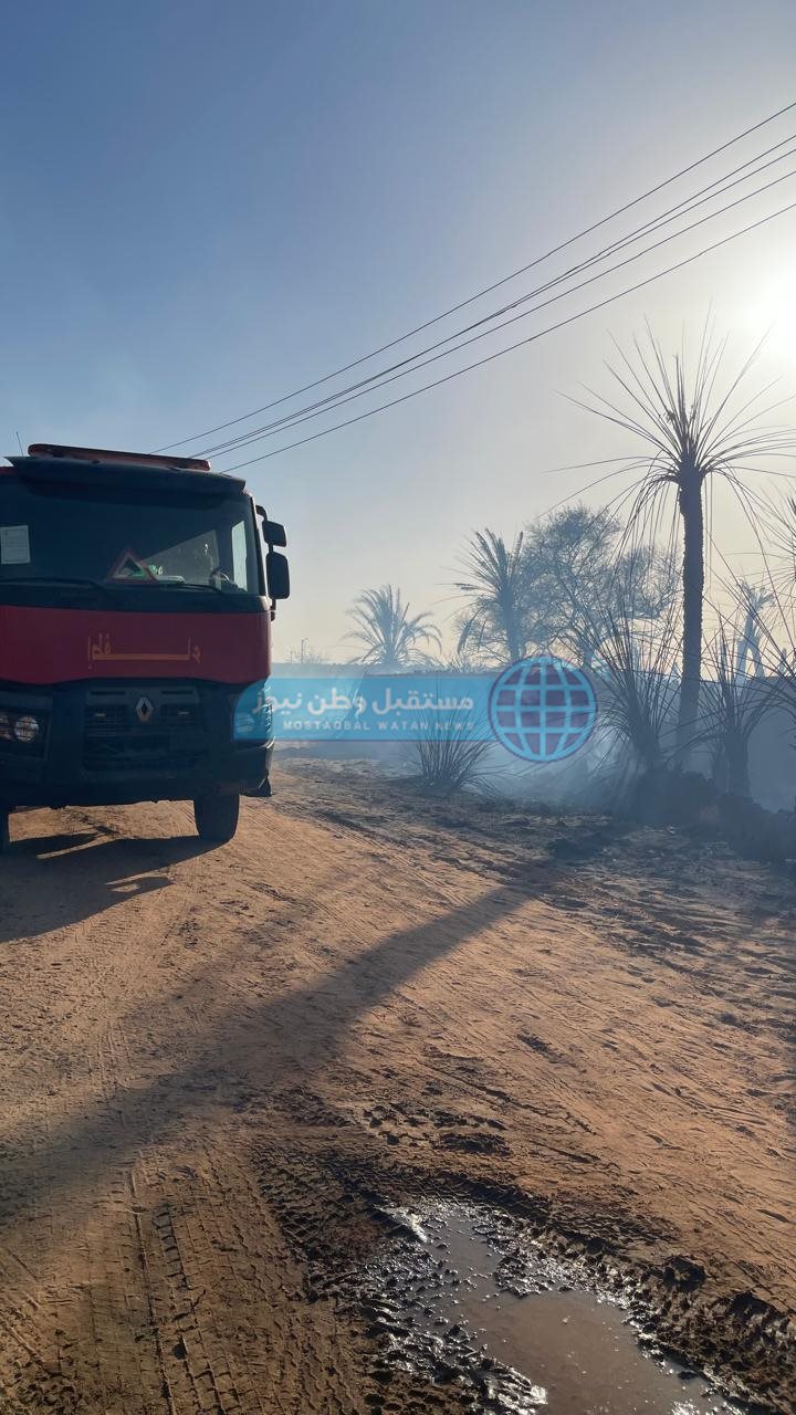 الدفع بسيارات اطفاء ومياه للسيطرة على حريق عين القضا بالوادي الجديد (6)