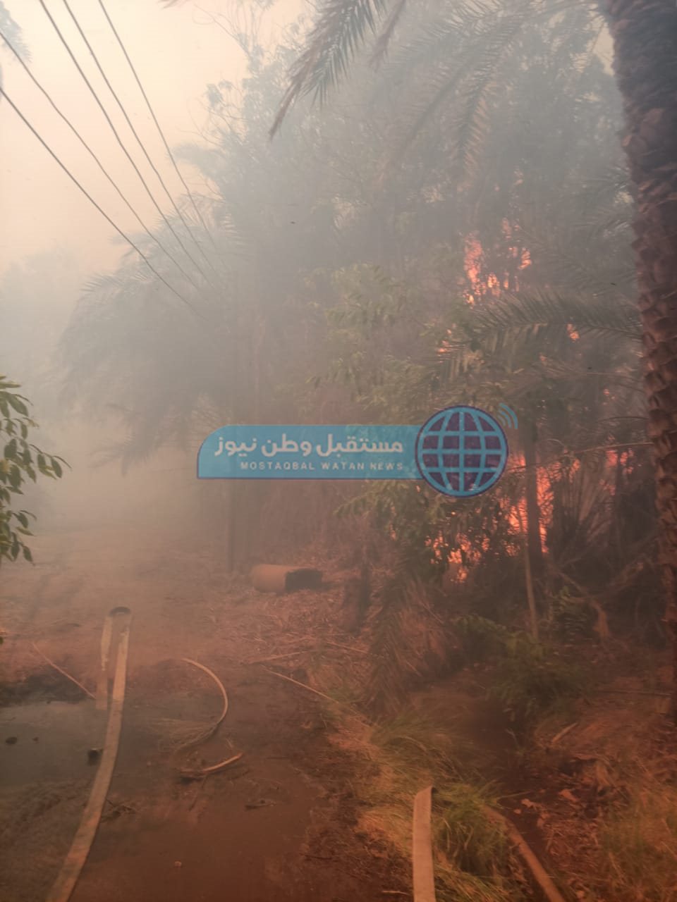 حريق هائل في مزرعة نخيل بقرية عين القضا بالداخلة (1)