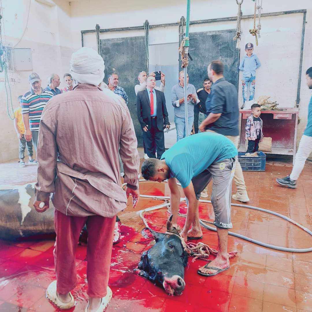 اقبال مواطني الوادي الجديد لذبح الأضاخي لليوم الثاني (3)
