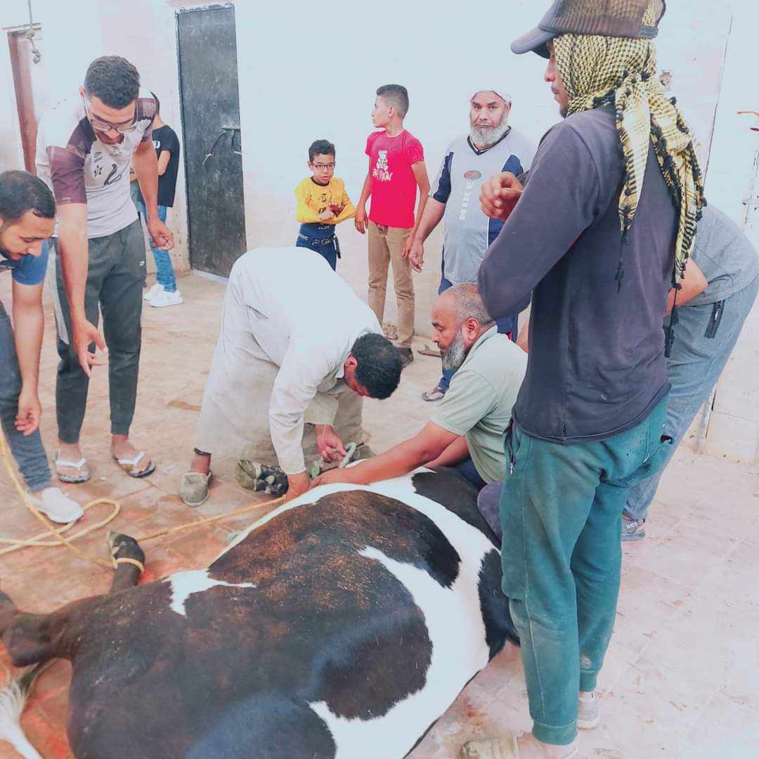 اقبال مواطني الوادي الجديد لذبح الأضاخي لليوم الثاني (5)