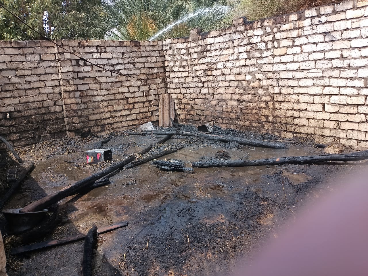 نشوب حريقين في مزارع نخيل وحظائر ماشية بمركزين في الوادي الجديد (1)
