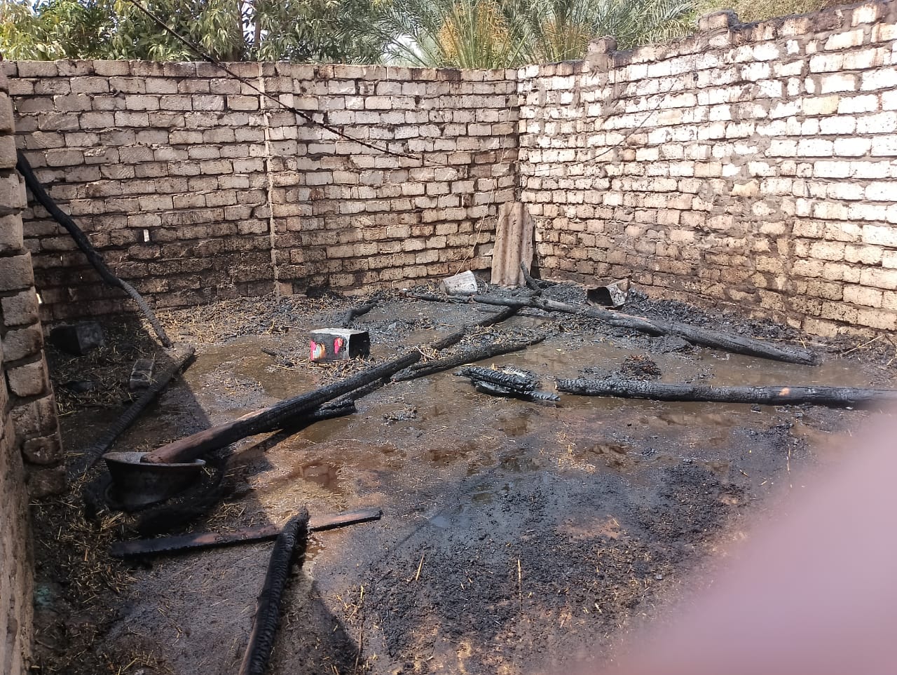 نشوب حريقين في مزارع نخيل وحظائر ماشية بمركزين في الوادي الجديد (3)