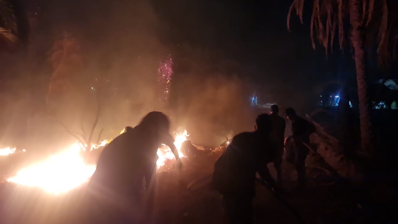 حريق كبير في مزرعة نخيل بمنطقة عين الشيخ في الوادي الجديد (3)