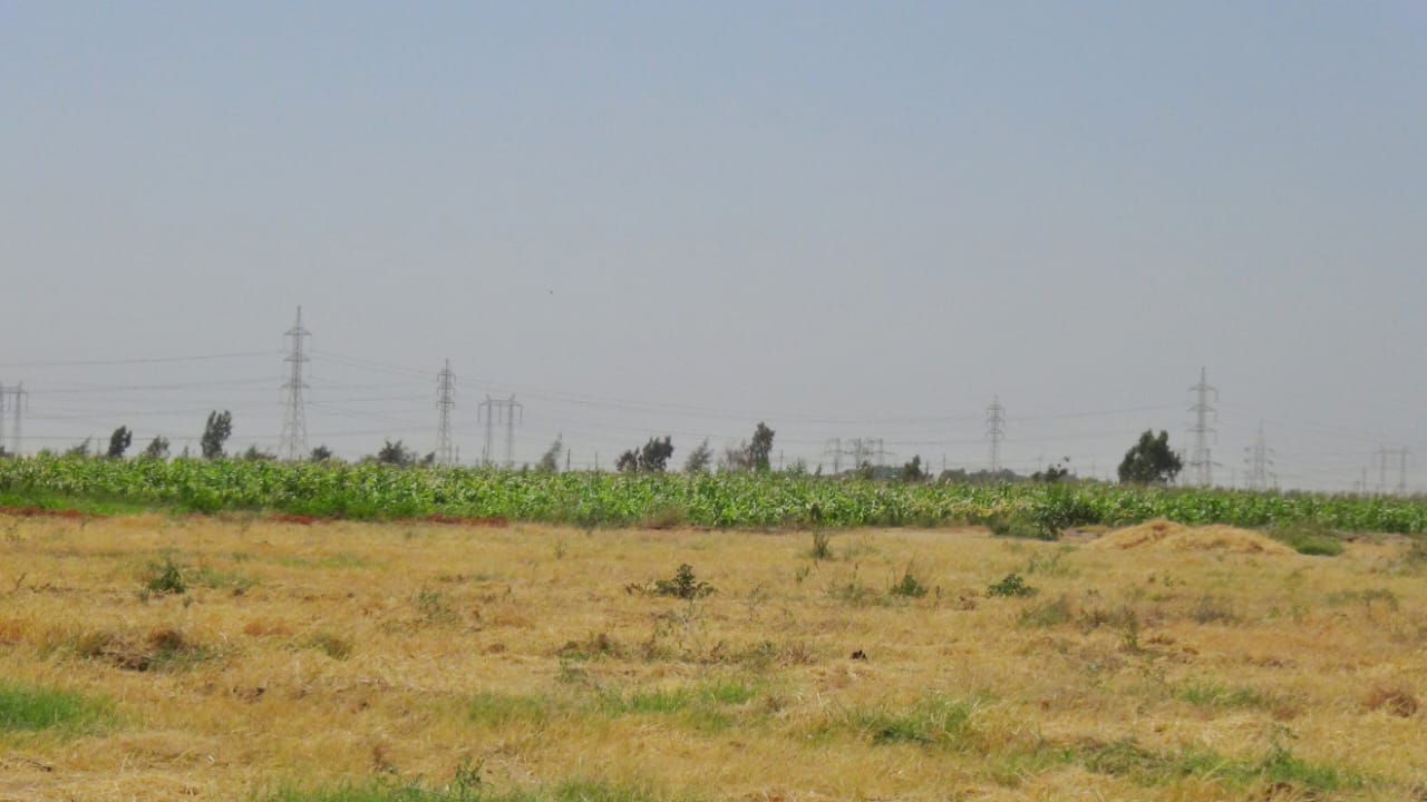 IMG-20240707-WA0018